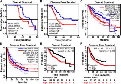 SMG9 Serves as an Oncogene to Promote the Tumor Progression via EMT and Wnt/β-Catenin Signaling Pathway in Hepatocellular Carcinoma